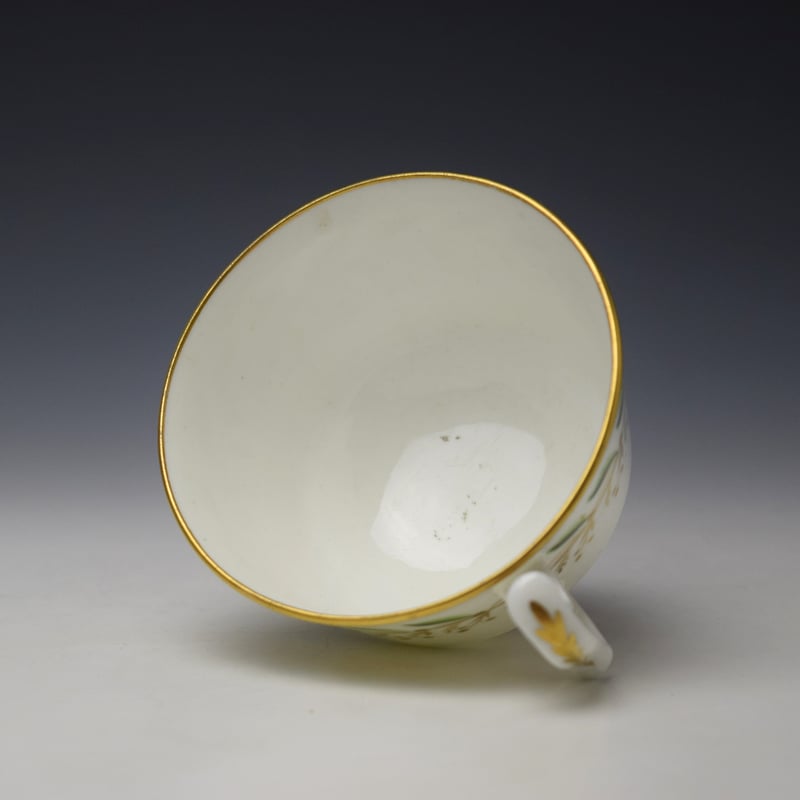 Swansea Pattern 251 Teacup and Saucer c1820 (5)