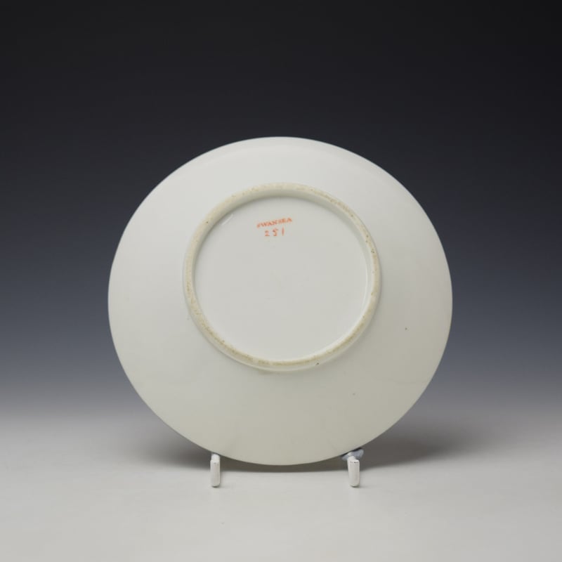 Swansea Pattern 251 Teacup and Saucer c1820 (8)